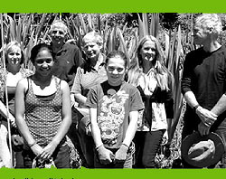 Tane�s Ark project at Aranui Park