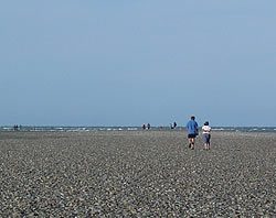 Locals walking to the end of the spit off the Leisure Park when a low 0.0m tide occured last month